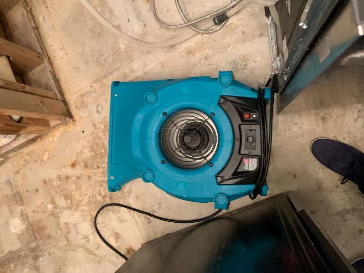 Air mover drying equipment for Mold Remediation & Removal in Jeannette